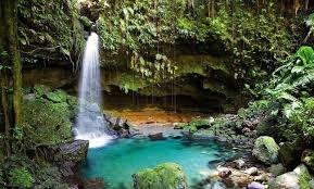 Dominica Emerald Pool compressed landscape banner image